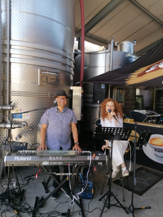 Dany &amp;amp; Tizzy - Party Duo Ticino — photo 6