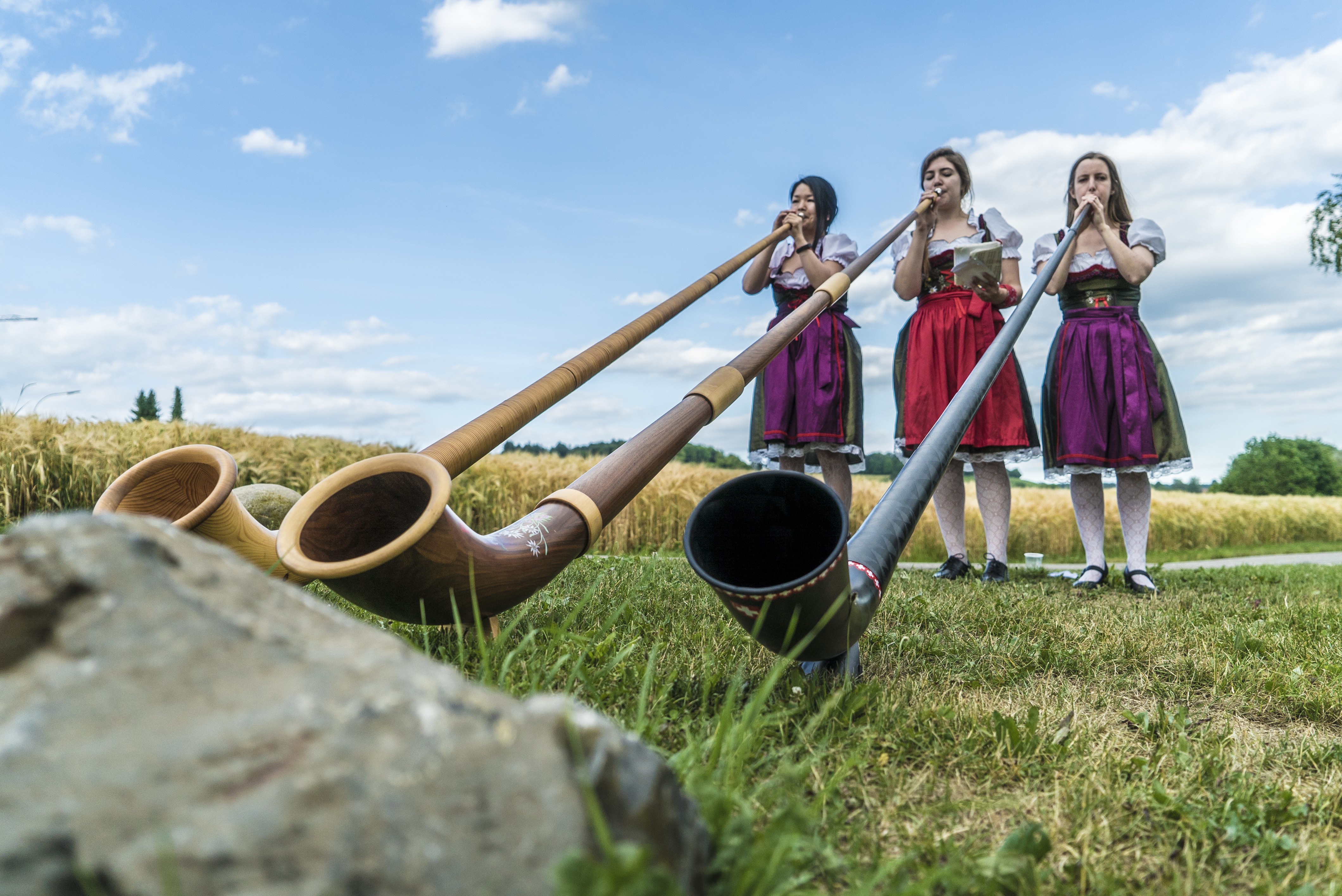 Alphorn, Jodeling, Swiss Akkordeon / Solo, Duo or Trio — photo 11
