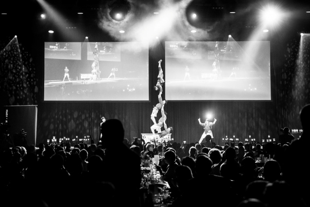 HERKULES - Swiss Comedy Akrobatik — photo 13