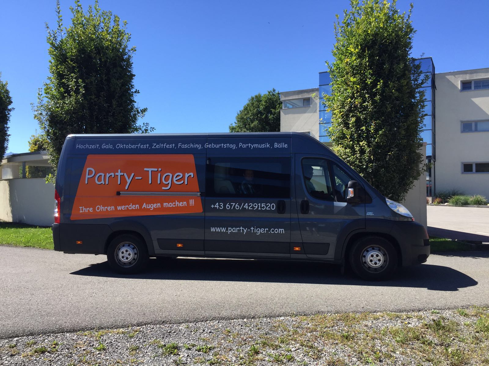 PARTY TIGER aus Österreich — photo 7
