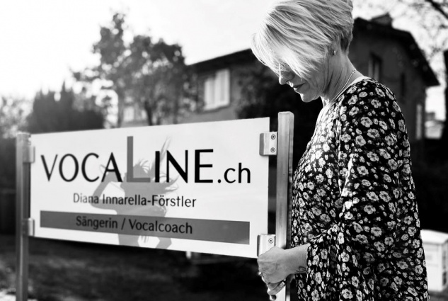 VocaLine — photo 12