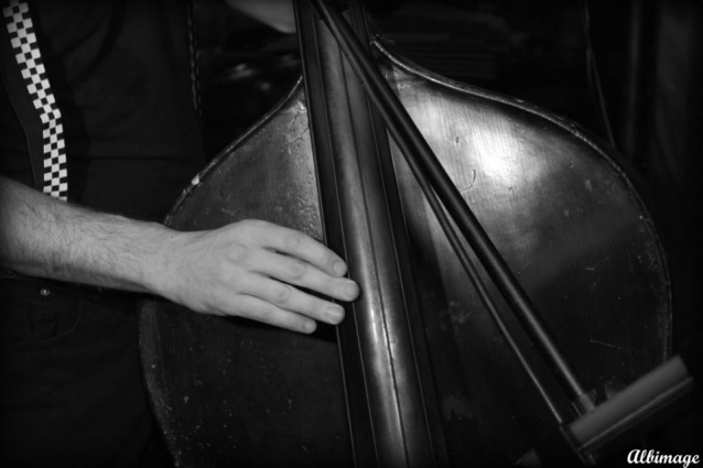 Sti Catz Rockabilly trio — photo 5