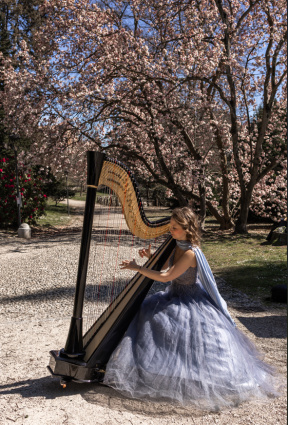 Eleonora Murgia - Arpista per matrimoni ed eventi privati — photo 11