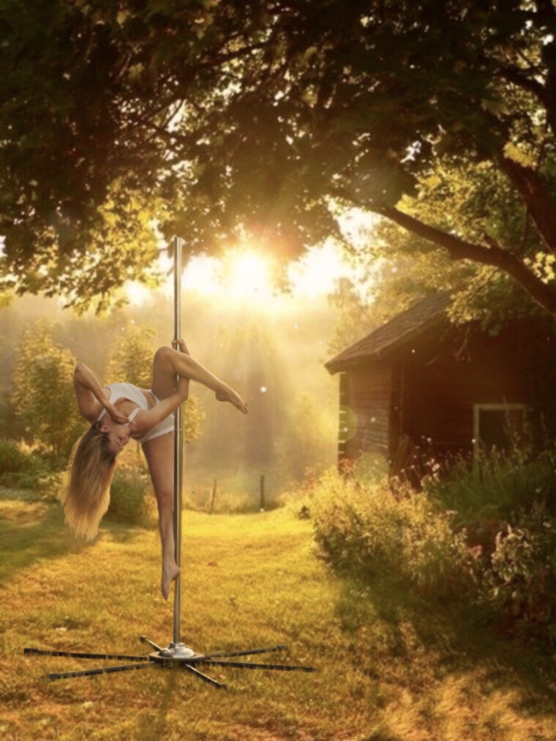 Giselle Pole Art — photo 9