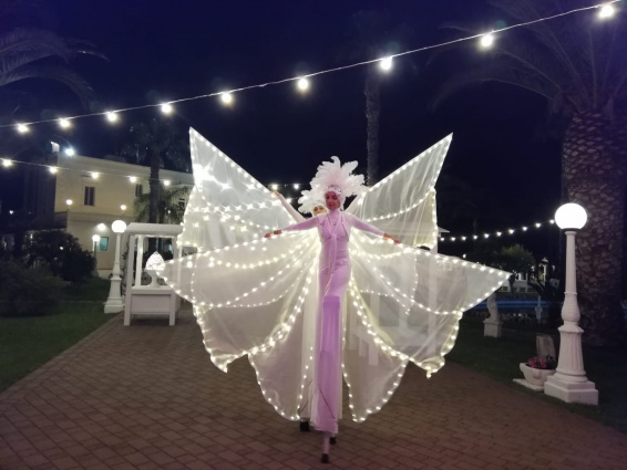 Light Signals - Farfalle Luminose — photo 10