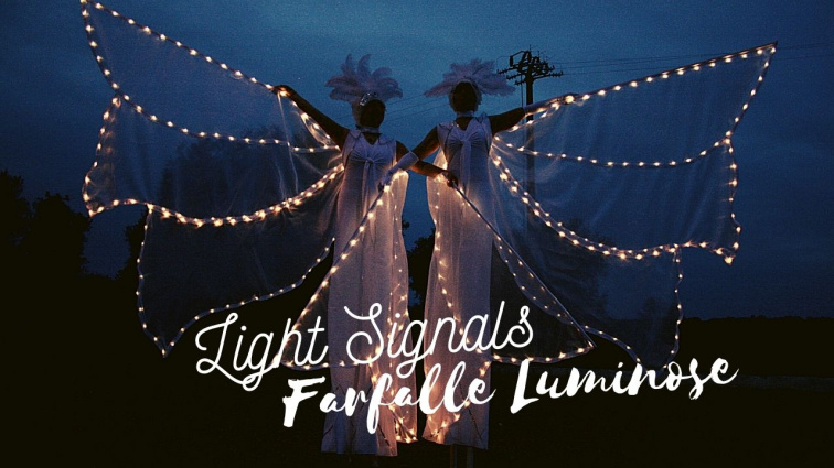 Light Signals - Farfalle Luminose — photo 15