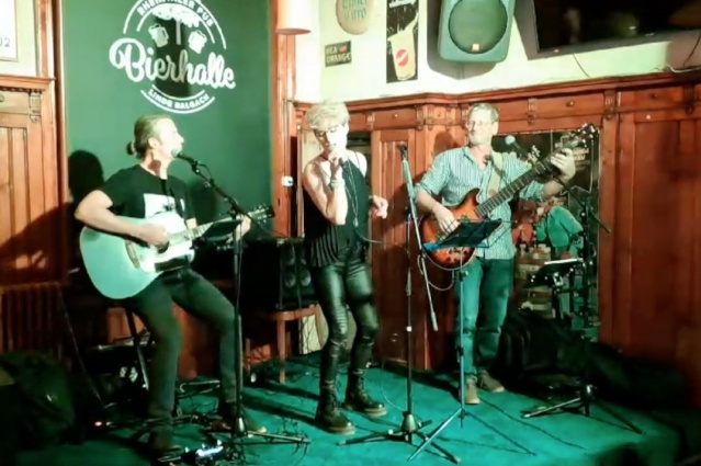 Coverband (Trio oder Duo) MItch Fender Band — photo 8