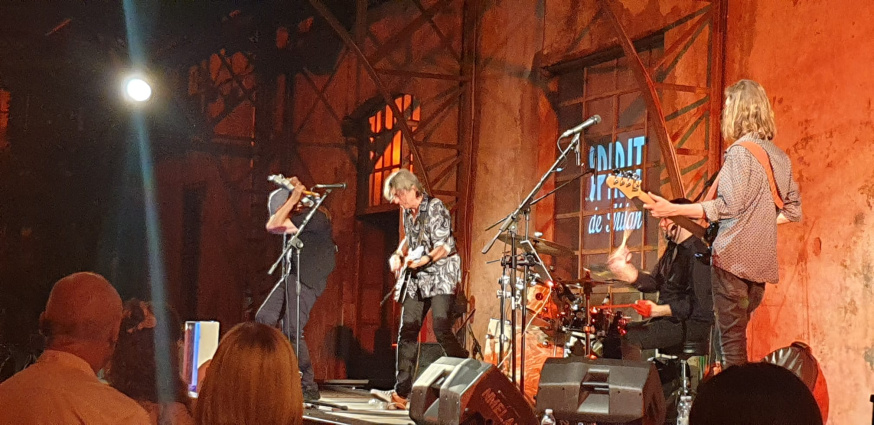 The Damn Dogs — photo 15