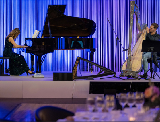 Concert Pianist — photo 7