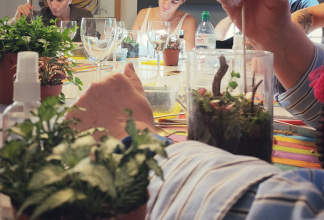 Terrarium workshops: every participant creates their own miniature living ecosis