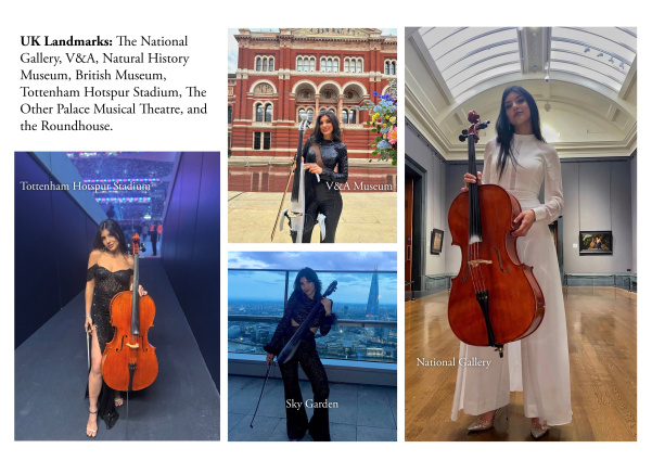 Cellist Jenny — photo 7